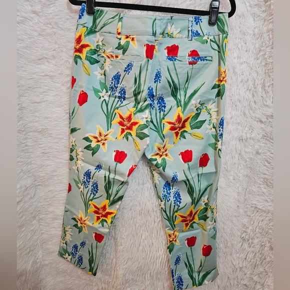 New York & Company Floral Print Capris - Red and Green on Light Blue Size 6 - Picture 11 of 11